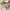 Casual Shoulder bag Wanita cream photo 3