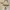 Casual Shoulder bag Wanita cream photo 1