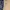 Adidas Y2K Sportswear Jersey Pria cream photo 4