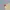 The North Face Streetwear Gorpcore T-shirt Pria yellow photo 5