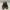 Streetwear Sneakers Wanita green photo 3
