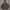 Nike Streetwear Y2K Hoody Pria gray photo 1