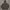 Nike Streetwear Y2K Hoody Pria Gray