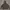 Nike Streetwear Y2K Hoody Pria gray photo 2