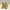 Streetwear Sneakers Wanita yellow photo 2