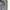 Dickies Streetwear Skater Jeans Pria white blue photo 4