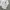 Zara Avant Garde Casual Blazer Wanita white photo 4