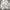 Zara Avant Garde Casual Blazer Wanita white photo 5