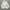 Zara Avant Garde Casual Blazer Wanita white photo 1