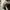 Salomon Sportswear Casual Sneakers Pria white gray photo 8