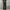 Guess Vintage Streetwear Jeans Pria Black