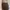 Bonia Luxury Casual Bucket bag Wanita brown photo 1