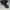 New Balance Casual Sneakers Pria green black photo 1