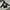 Carhartt Vintage Casual Swimwear Pria White Black