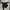 Carhartt Vintage Casual Swimwear Pria white black photo 2