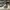 Louis Vuitton Luxury Casual Sneakers Pria white gray photo 1