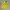 Umbro Gorpcore Jersey Pria yellow photo 1