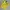 Umbro Gorpcore Jersey Pria Yellow