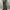 Vintage Y2K Jeans Pria black photo 1