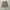 JNCO Streetwear Y2K Jeans Pria tan photo 1
