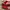 Adidas Casual Sneakers Pria Red