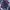 Indie Casual Fleece Pria multicolor photo 2