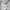 Sportswear Bralette Wanita white photo 5
