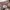 Vintage Y2K Sweater Pria tan brown photo 5