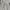 Patagonia Streetwear Sportswear T-shirt Pria white photo 3