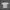 Vintage T-shirt Pria white gray photo 5