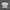 Hanes Minimalist T-shirt Pria white photo 3
