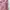 Sportswear Bralette Wanita pink photo 5