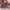 Sportswear Bralette Wanita pink photo 6