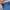 Sportswear Hat Pria black blue photo 4