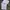 Johnbull Streetwear Y2K Bomber jacket Pria green photo 6