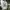 Streetwear Sportswear Jersey Pria white gray photo 1