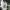Streetwear Sportswear Jersey Pria White Gray