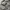 Lee Streetwear Biker Denim jacket Pria gray photo 2