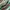 American Eagle Y2K Casual Tote bag Wanita multicolor photo 6