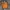 Streetwear Hoody Pria orange photo 1