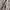 Izod XFG Vintage Casual Sweater Pria tan photo 5