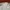 Gomme Homme Casual Bandeau top Wanita silver blue photo 2