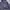 Napapijri Gorpcore Casual Windbreaker Pria navy photo 2