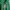 & Other Stories Streetwear Skater Hoody Pria green photo 1