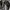 Japanese brand Streetwear Gorpcore Sandals & slide Pria black photo 3