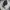 Japanese brand Streetwear Gorpcore Sandals & slide Pria black photo 2