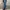 Vintage Y2K Jeans Pria blue photo 1