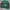 Vintage Indie Sweater Pria green photo 1