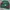 Vintage Indie Sweater Pria Green