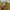 Gaudi Minimalist Casual Jumpsuit Wanita yellow photo 3